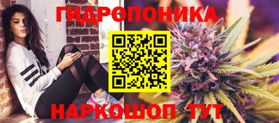стафф Донецк