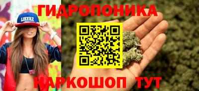 кокс Дубна