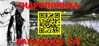 стафф Донецк