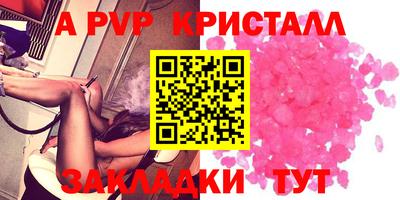 стафф Донецк