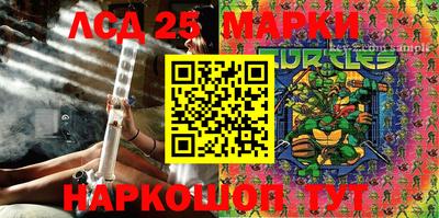 стафф Донецк