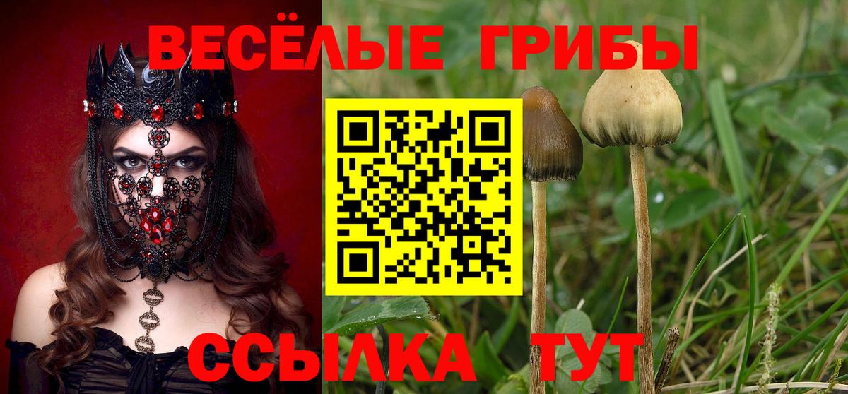 Майский  Псилоцибиновые грибы Cubensis  Вход с VPN  Галлюциногенные грибы Magic Shrooms 